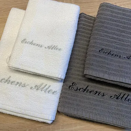 公寓 Eschen's Allee 奥利希