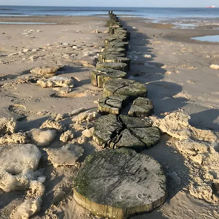 Eschen's Allee 아파트 아우리흐