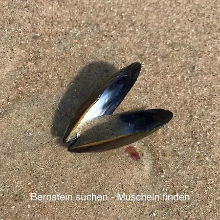 Eschen's Allee 아우리흐