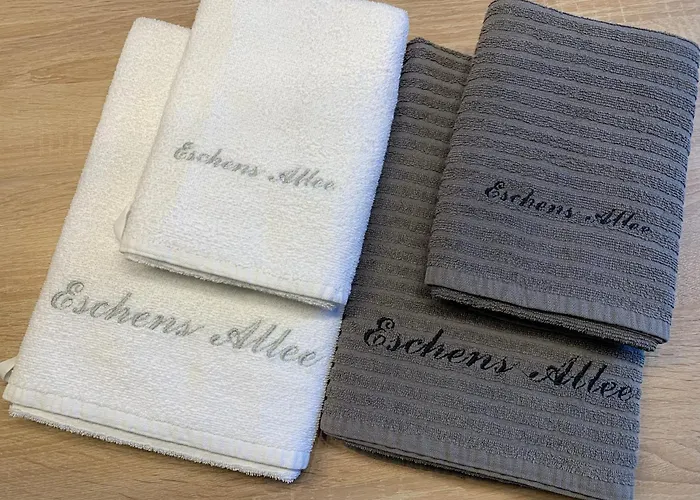 公寓 Eschen's Allee 奥利希